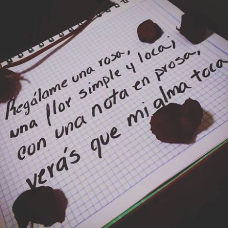 13466511_1002360256548892_7162183893564926263_n