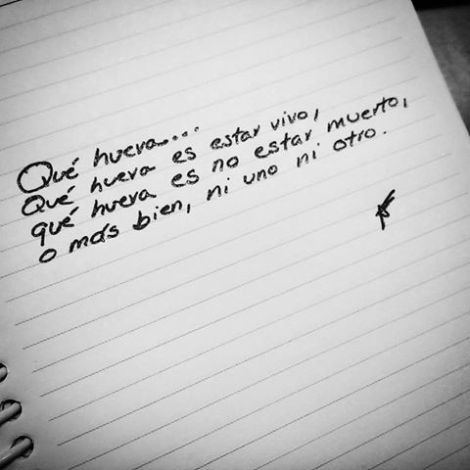 14390706_1070850719699845_2537539510425891425_n